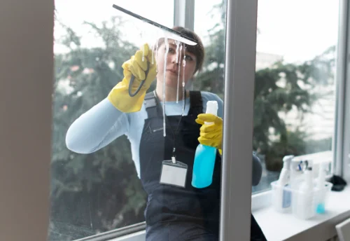 Nettoyage de vitres intérieures et extérieures à Mareau-aux-Prés